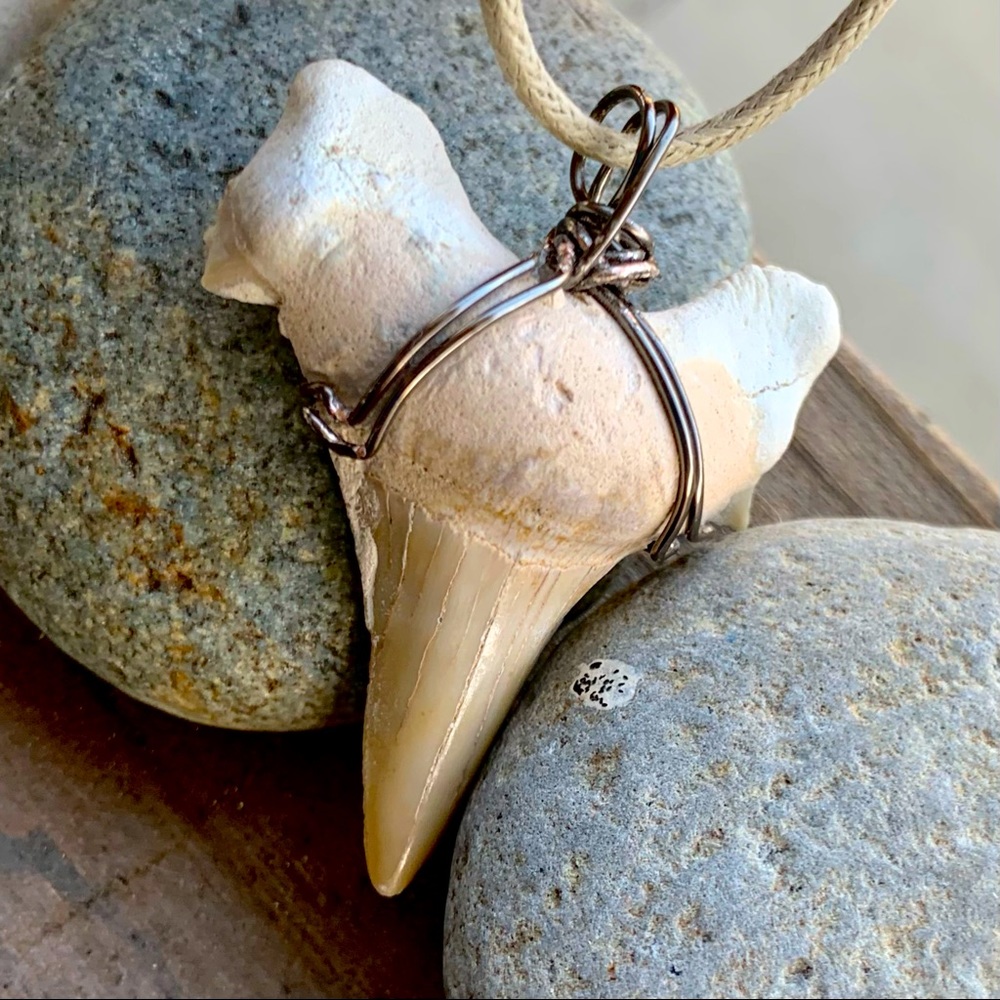 Shark Tooth from Morocco Necklace